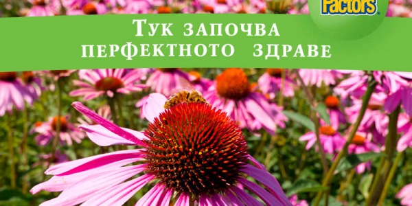 Natural Factors: ново поколение здравословни продукти от Канада!