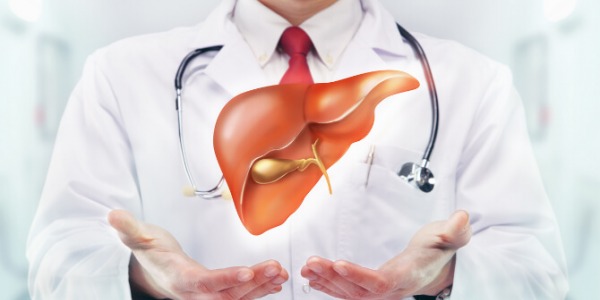 Млечен бодил: защитникът на черния дроб и жлъчката!