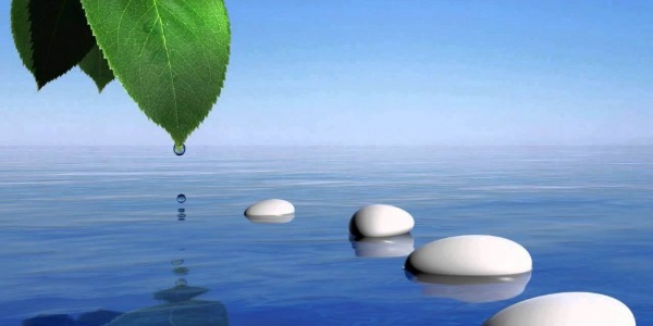 Най-добрите добавки при слабост на нервната система!