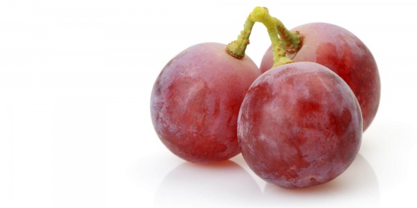 Гроздово семе – еликсир за сърцето и кръвоносните съдове!