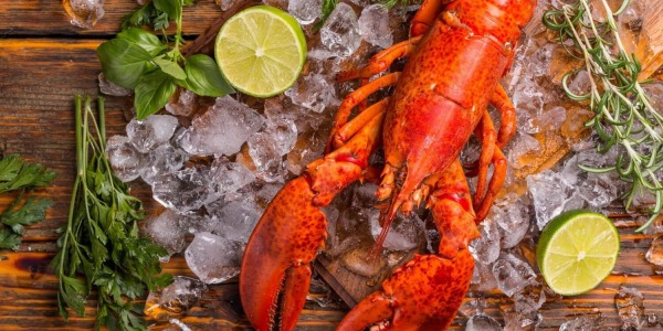 Астаксантин – най-мощният в природата антиоксидант!