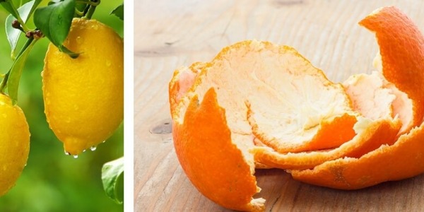 Биофлавоноидите и техните невероятни ползи за здравето