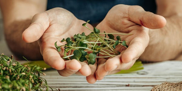 7 супер билки за по-добра памет!