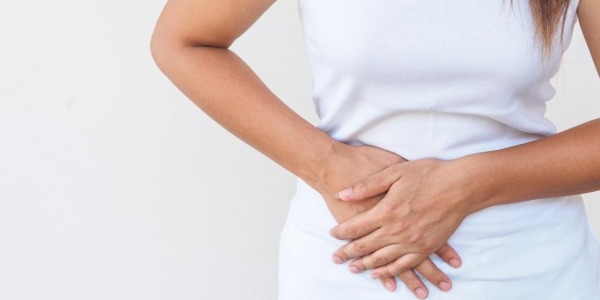 Кои са най-полезните билки за здравето на жлъчката?