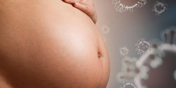 Проучване показва, че бременните жени не предават коронавирус на бебетата си