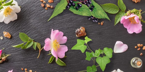 Билки, които помагат при симптоми на коронавирус / Covid-19