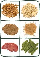 Витамин В 1 (Тиамин)