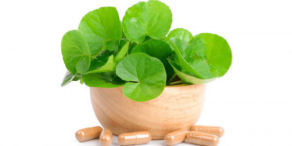 Азиатска центела (Готу кола)