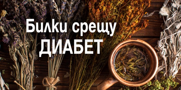 Кои билки са подходящи при диабет?