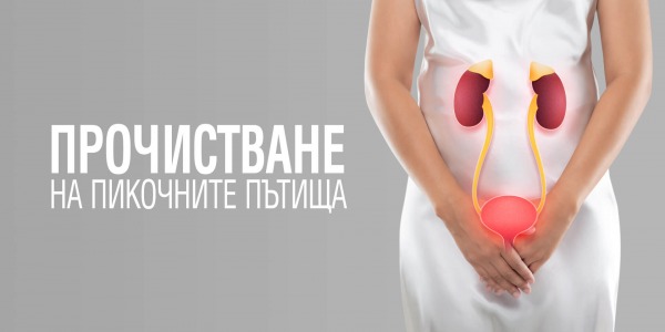 Как да прочистим пикочните пътища?