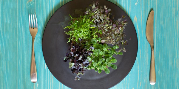 Микрорастенията- здраве в саксия на перваза