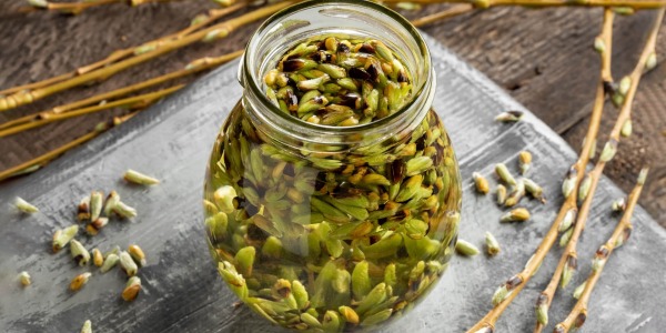 Гемотерапия- лечение чрез стволовите клетки на растенията