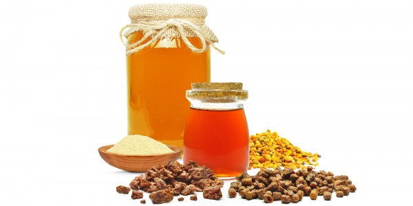 Апитерапия- за ползите от пчелните продукти