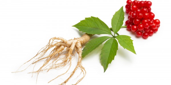 За ползите от червения (корейски) женшен