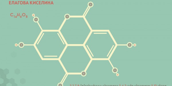 Чували ли сте за Елагова киселина? 