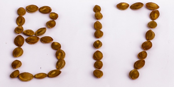 В17- за ползите, въпреки противоречията