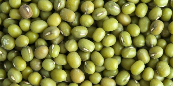 Боб мунг – съкровище във всяко зрънце