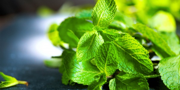 Джодженът – билката с много приложения