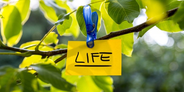 Синхронностите на живота – как да ги разчитаме 