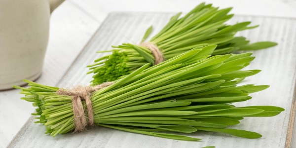 Eчемичената трева – ползи за здравето