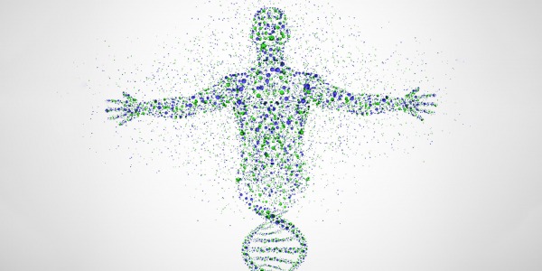 Пробуждането на 24-тата хромозома при човека