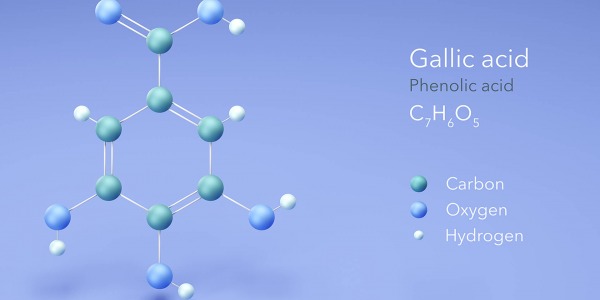 Галова киселина като мощно средство срещу затлъстяване 