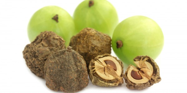 Амла – от дървото до лекарство в Аюрведа