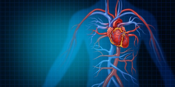 Нарушено кръвообращение- симптомите, за които да следим