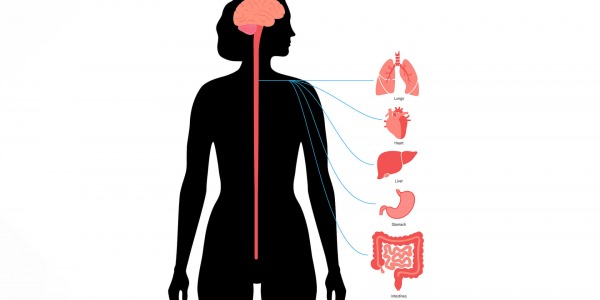 Как да излекуваме вагусния нерв с дихателни практики