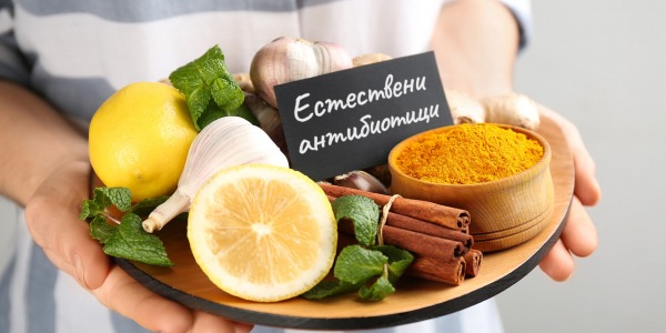 Естествени антибиотици: кои са те и как точно ни помагат