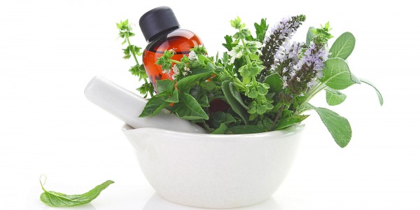 Лечебните растения в натуропатията и ползите им