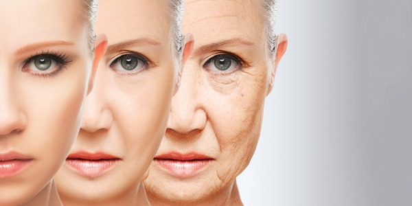 Протеомен часовник прогнозира смъртността и риска от заболявания