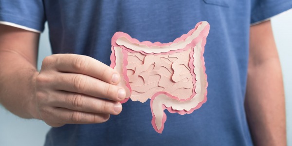 Пребиотици за подпомагане на стомашното здраве