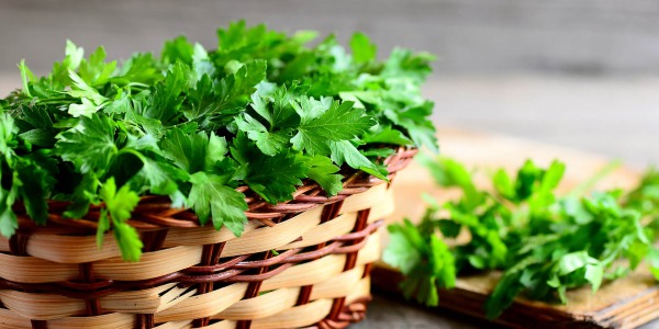 Накъде без него? Магданоз за вкус и здраве!