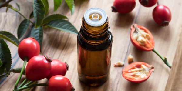 Маслото от шипка като щит за имунитета