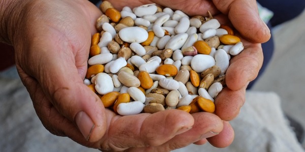 Лектините - какво представляват и в кои храни ще ги срещнем?