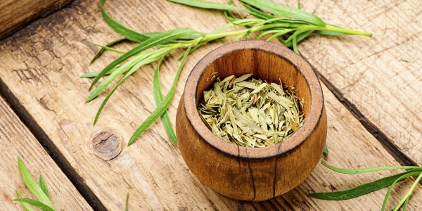 Естрагонът - какво не знаем за него?