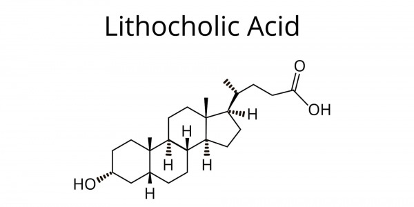 Какво представлява и как действа литохоловата киселина?