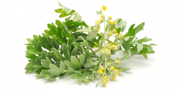 Какво не знаем за полезните свойства на абсента?