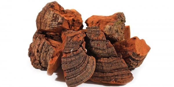 Лечебната гъба Мешима – има ли място в онкологията и защо е толкова полезна за млечните жлези?