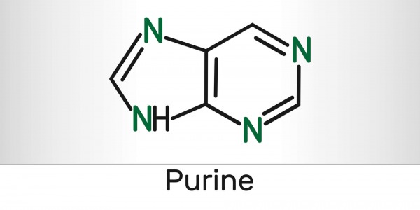 Какво е пурини и в кои храни се съдържа?