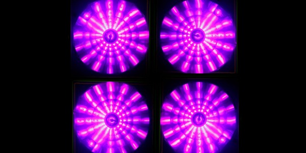 Какво е колариум? 