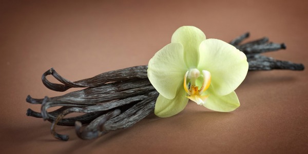 Ванилията – за какво е полезна?