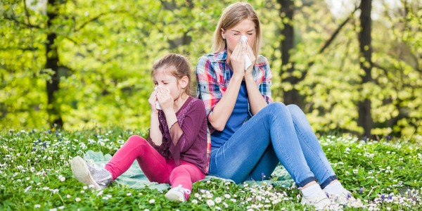 Видове хрема и как да я лекуваме