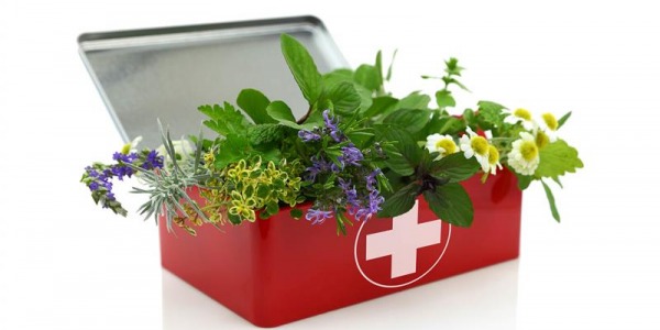 Безопасност при употреба на билки: какво трябва да знаете, преди да започнете