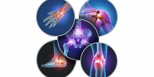 За какво се използва хрущял от акула