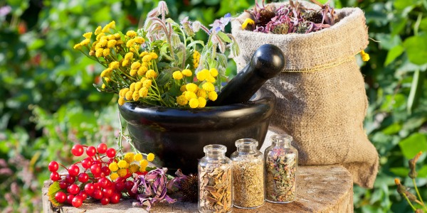 Топ 10 най-добри билки за имунитет