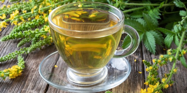 Агримония – подкрепа за физическото и емоционалното здраве