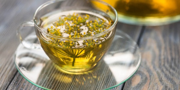 Всичко за билката копър - приложение, употреба и здравни ползи