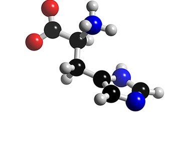 Хистидин